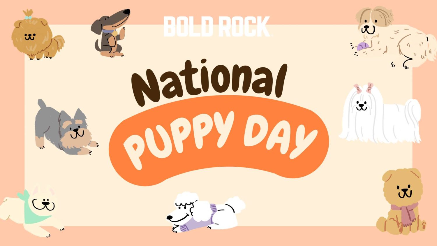 Bold Rock Hard National Puppy Day