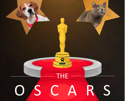 A black poster with the title "The Oscars Adoption Promo" followed by "Where the stars are ready for the red carpet... and their new home!" A gold Oscar's award statue with a paw print sits on a stage and red carpet. Two stars sit in each corner of the poster, one with a brown and white dog and the other with a grey cat.