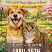 A dog and cat in a spring field - For the Love of Pets Expo poster