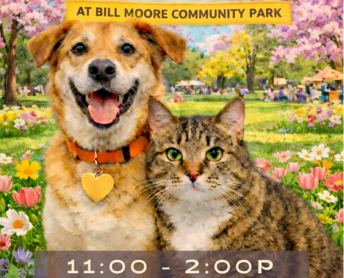 A dog and cat in a spring field - For the Love of Pets Expo poster