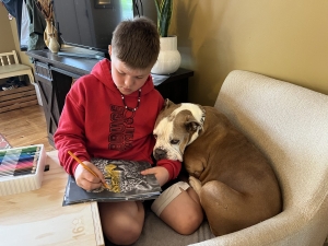 A boy and a large brown and white dog sit in a chair together