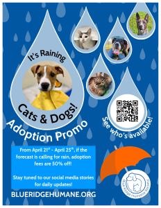 It's Raining Cats & Dogs Adoption Promotion April 21-25