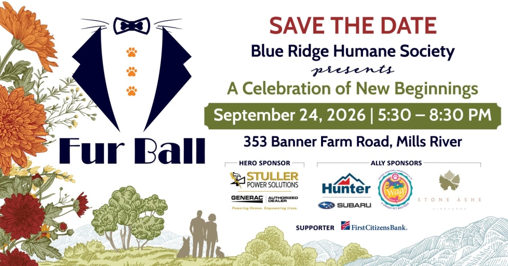 Fur Ball - Blue Ridge Humane Society