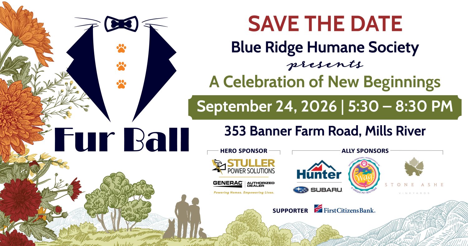 BRHS_Fur Ball 2026_Website Banner_1200x630px_Final_web (1) A Save the Date graphic for Fur Ball - September 24, 2026