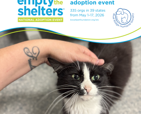 A black and white cat is included in a graphic that says "Empty the Shelters reduced adoption fee event May 1-17"