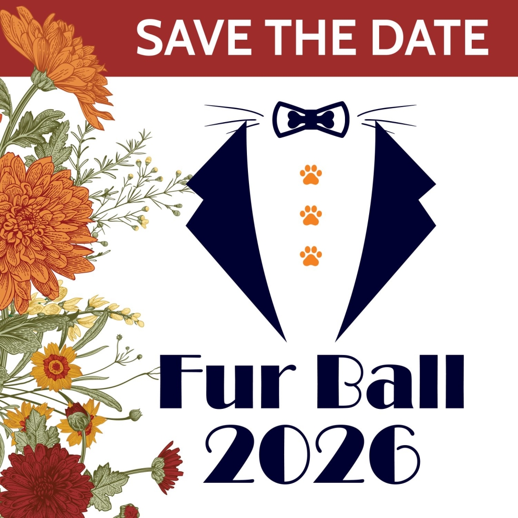 A graphic with the text "Save the Date: Fur Ball 2026"