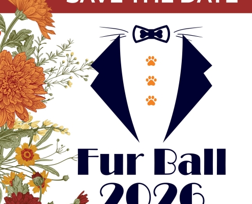 A graphic with the text "Save the Date: Fur Ball 2026"
