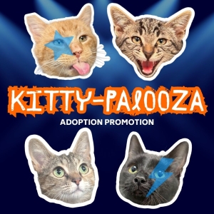 A graphic with 4 cat heads and the text "Kitty-Palooza Adoption Promotion"