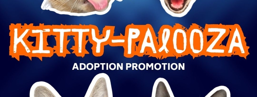 A graphic with 4 cat heads and the text "Kitty-Palooza Adoption Promotion"