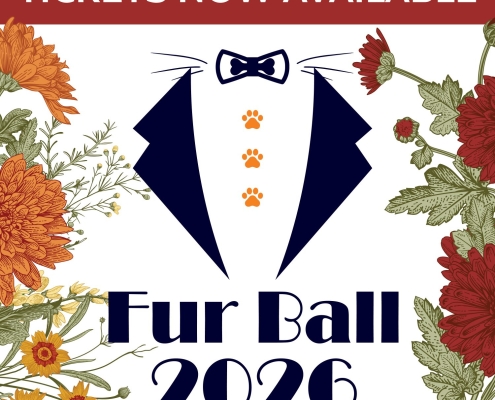 A graphic with the Fur Ball logo and the text "Tickets Available Now"