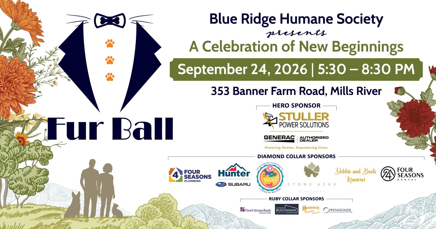 BRHS_Fur Ball 2026_Website Event Banner_1200x630px_Final A graphic announcing Fur Ball 2026