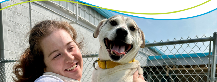 A person holds a medium white dog