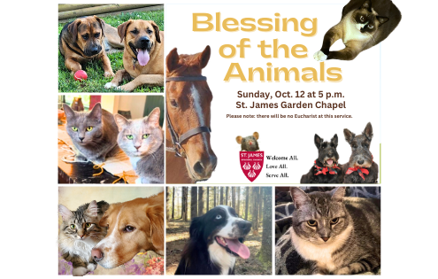 A poster with animal pictures for the Blessing of the Animals