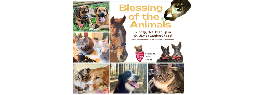 A poster with animal pictures for the Blessing of the Animals