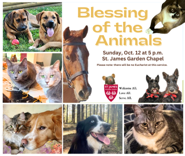 A poster with animal pictures for the Blessing of the Animals