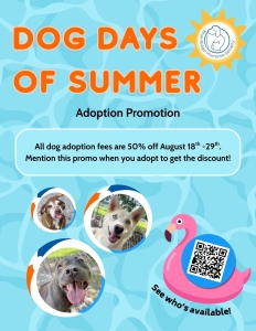 A poster for an adoption promo that is called "Dog Days of Summer" 