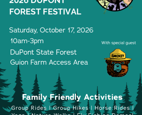 A flyer for the Dupont Forest Festival
