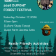 A flyer for the Dupont Forest Festival