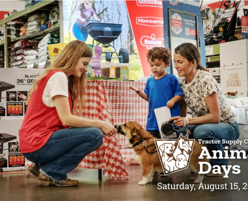 A person in a red vest pets a dog with a mother and child in the background