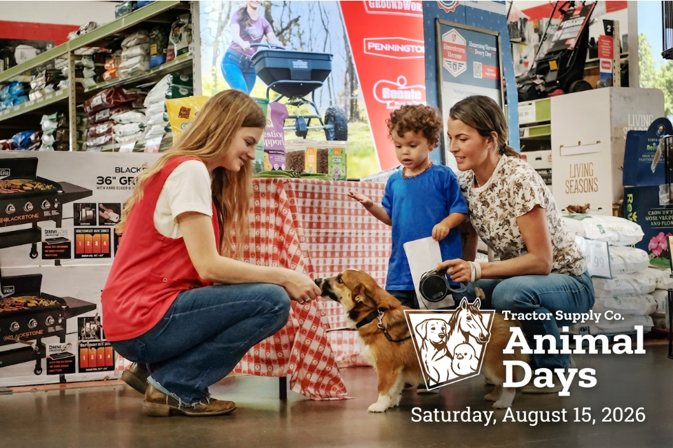 A person in a red vest pets a dog with a mother and child in the background