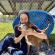 A person hugs a medium brown and white dog