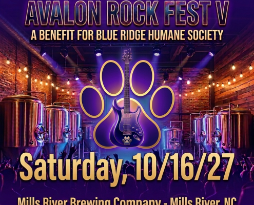 A poster for Avalon Rock Fest