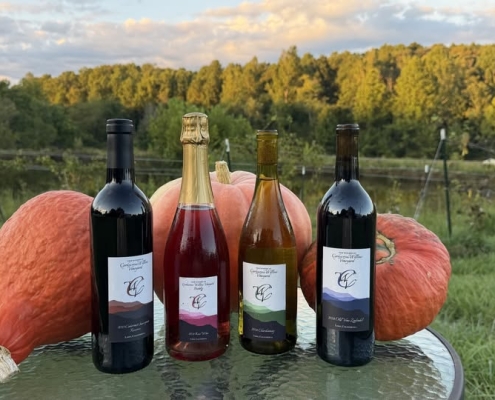 Wine bottles posed with gourds