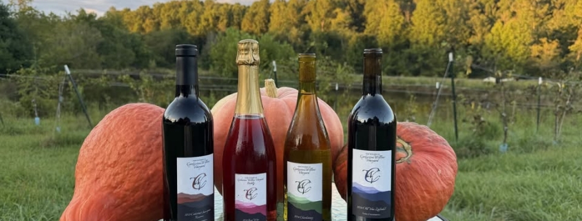 Wine bottles posed with gourds