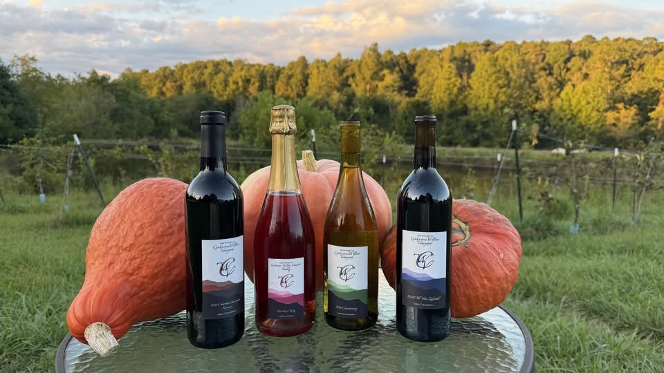 Wine bottles posed with gourds