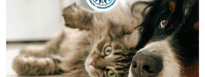 A flyer for First Congregational Church's Blessing of the Animals