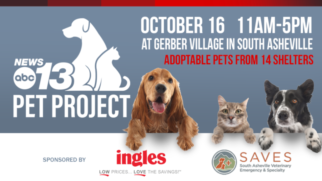 A poster for WLOS Pet Project that features dogs and cats