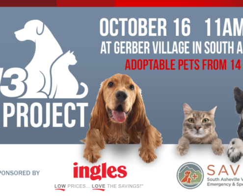 A poster for WLOS Pet Project that features dogs and cats