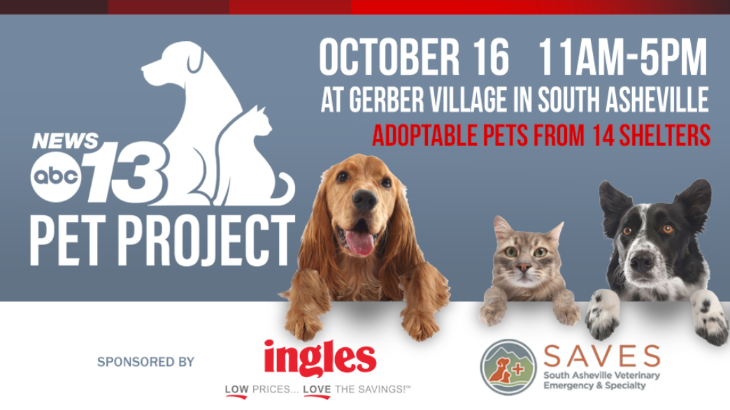 A poster for WLOS Pet Project that features dogs and cats
