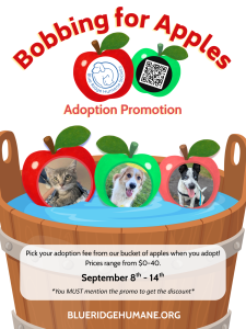 A poster for the Bobbing for Apples adoption promo September 8th through 14th 