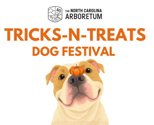 A graphic with a dog and the text "Tricks-n-Treats Dog Festival"