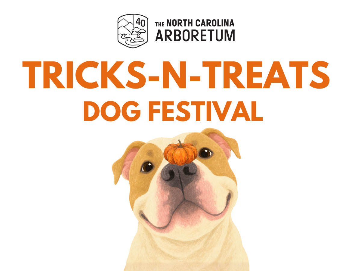A graphic with a dog and the text "Tricks-n-Treats Dog Festival"