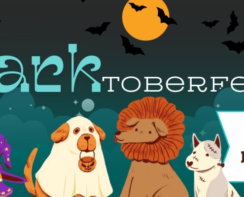 a graphic that has dogs in Halloween costumes with the text "barktoberfest" and Boodah's Brewing logo