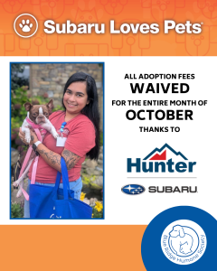 A poster for Subaru Loves Pets